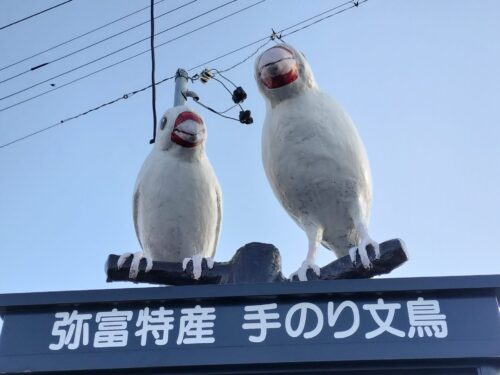 長年の夢だった文鳥の聖地、愛知県弥富市へ。１７か所を巡り、公務員文鳥にご対面。文鳥の聖地は金魚の聖地でもありました。
